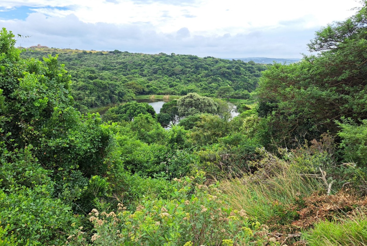 Prime 1000sqm Plot For Sale in Chintsa – Uninterrupted Dam and Beach Views