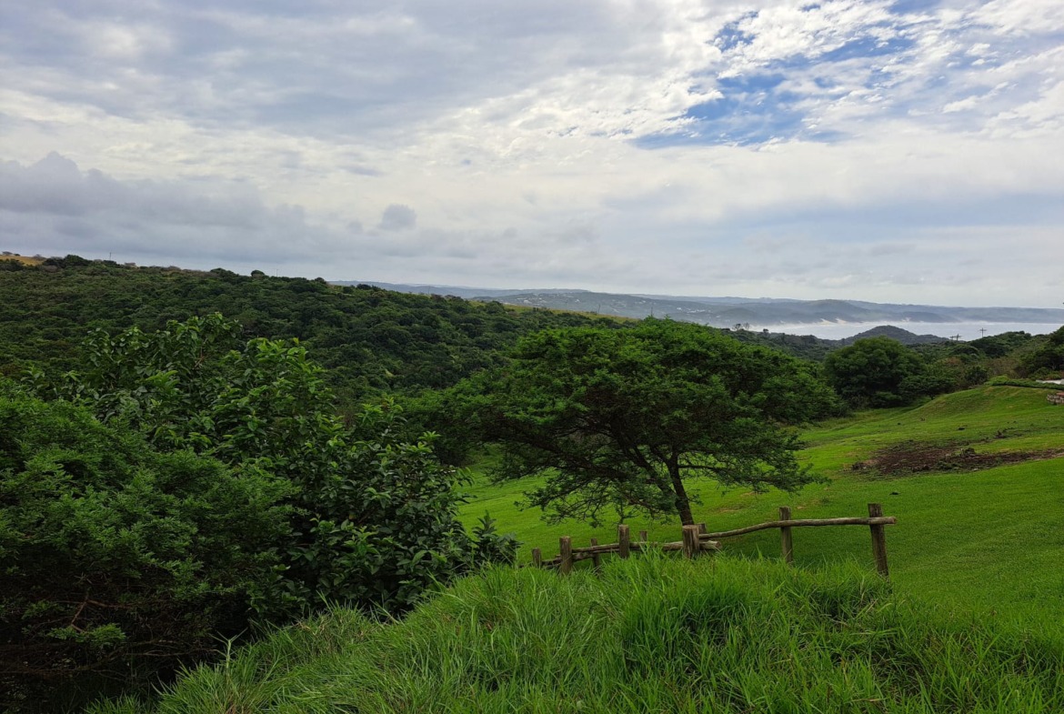 Prime 1000sqm Plot For Sale in Chintsa – Uninterrupted Dam and Beach Views