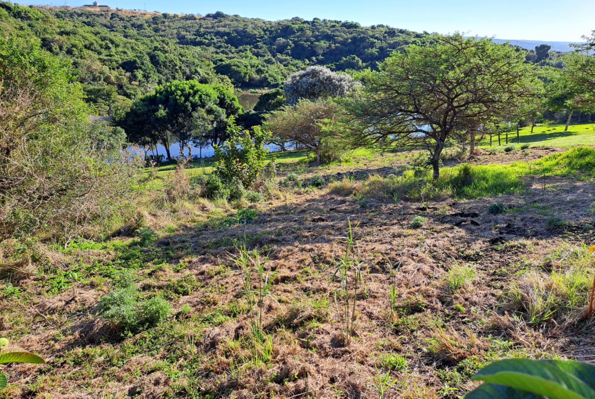 Prime 1000sqm Plot For Sale in Chintsa – Uninterrupted Dam and Beach Views