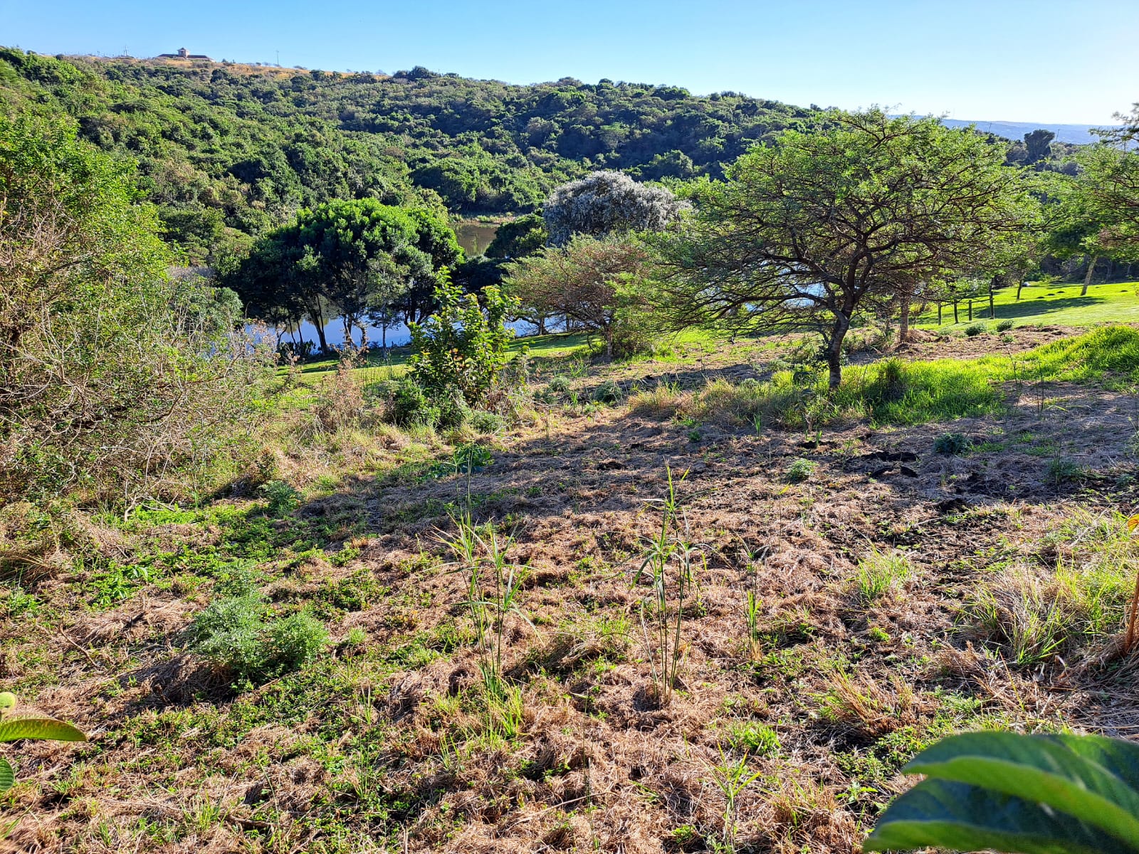 Prime 1000sqm Plot For Sale in Chintsa – Uninterrupted Dam and Beach Views