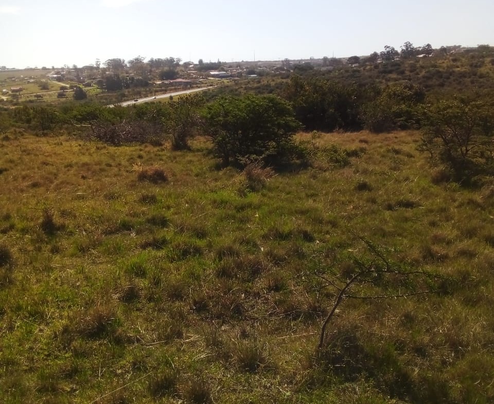 Vacant Land/ Plot in Peddie