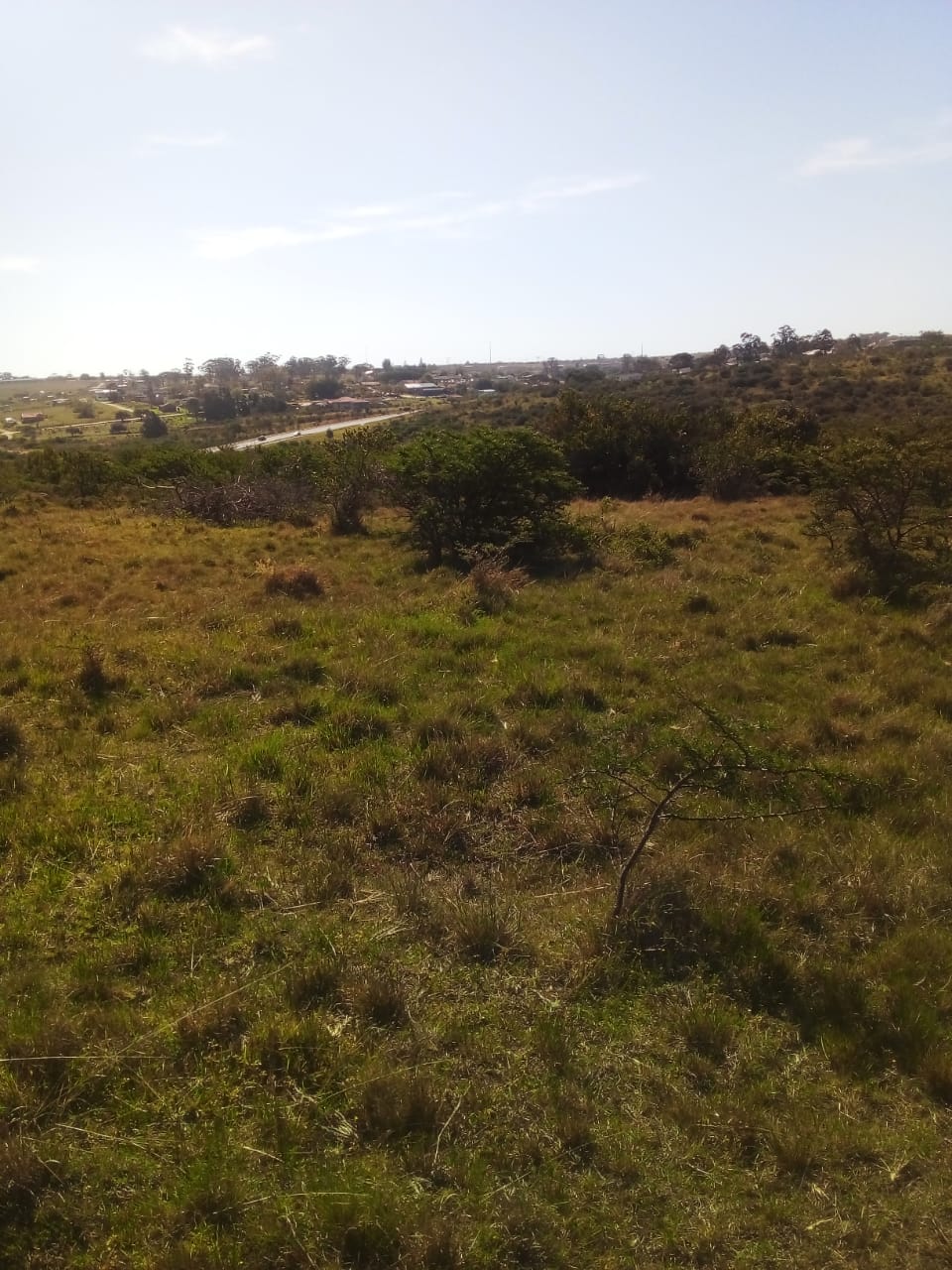 1 Vacant Land/ Plot in Peddie