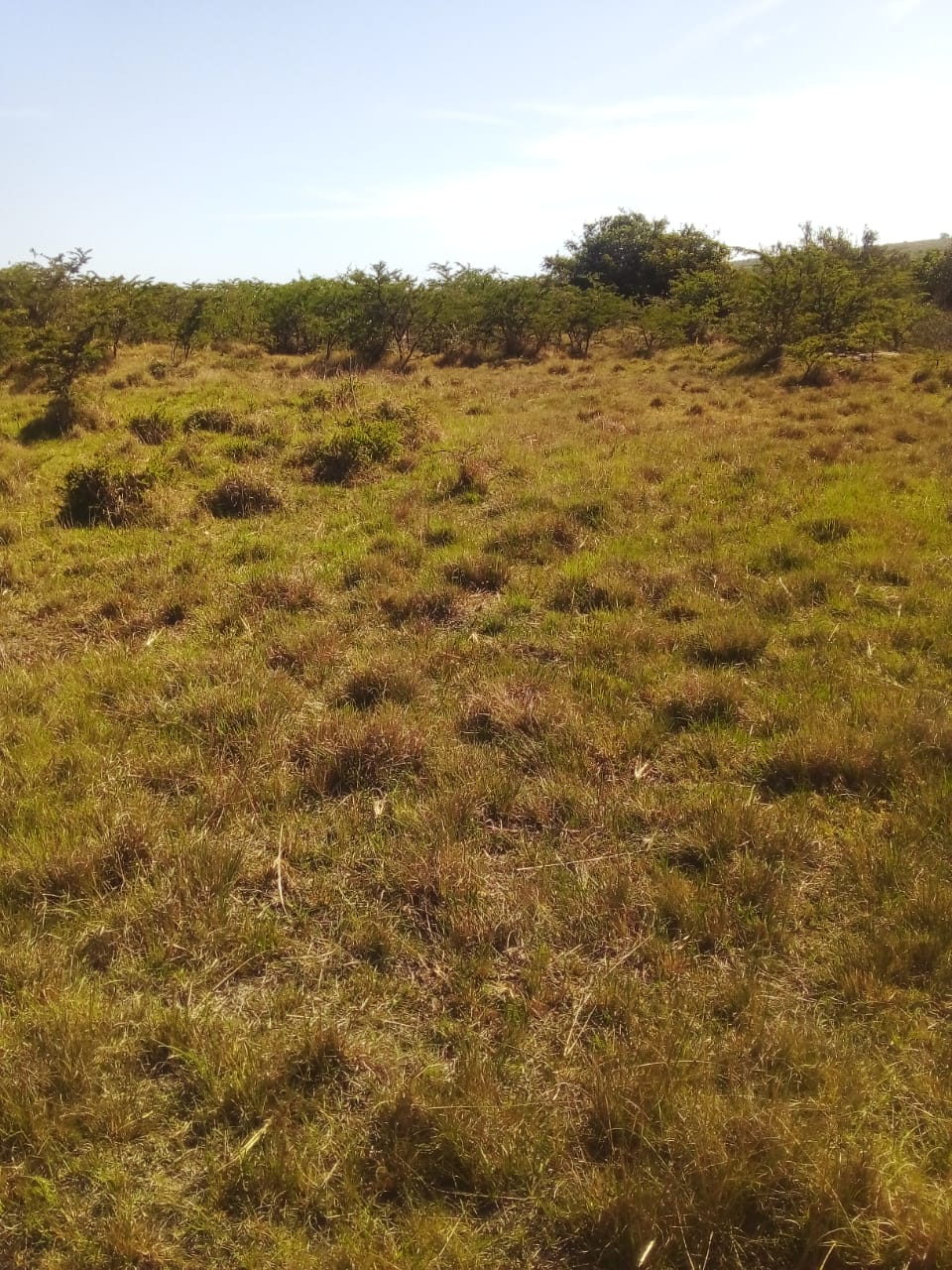 2 Vacant Land/ Plot in Peddie