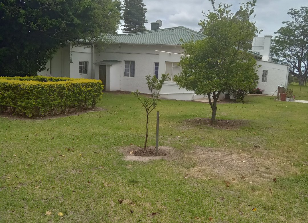 FOUR BEDROOM HOUSE FOR SALE IN KEI ROAD