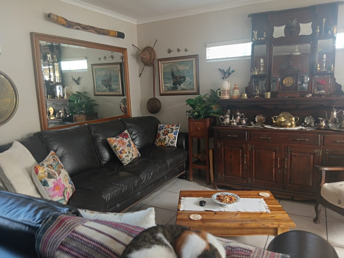 4 Charming Family Home with Granny Flat and Bachelor Apartment in Abbotsford For sale!