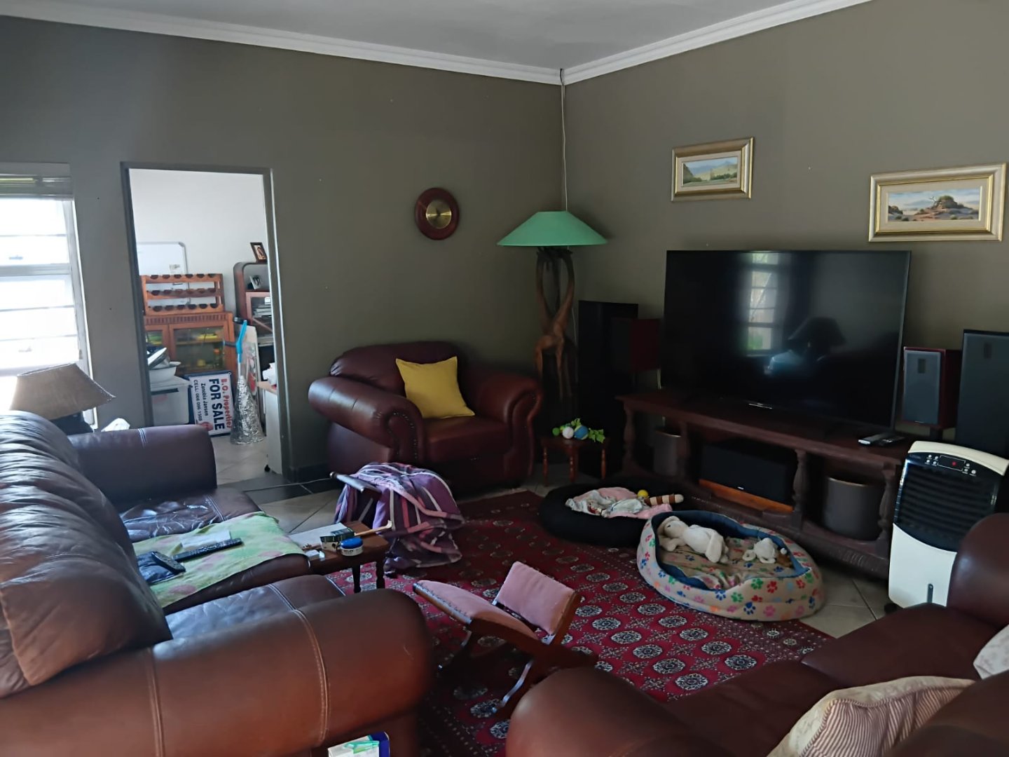 7 Charming Family Home with Granny Flat and Bachelor Apartment in Abbotsford For sale!