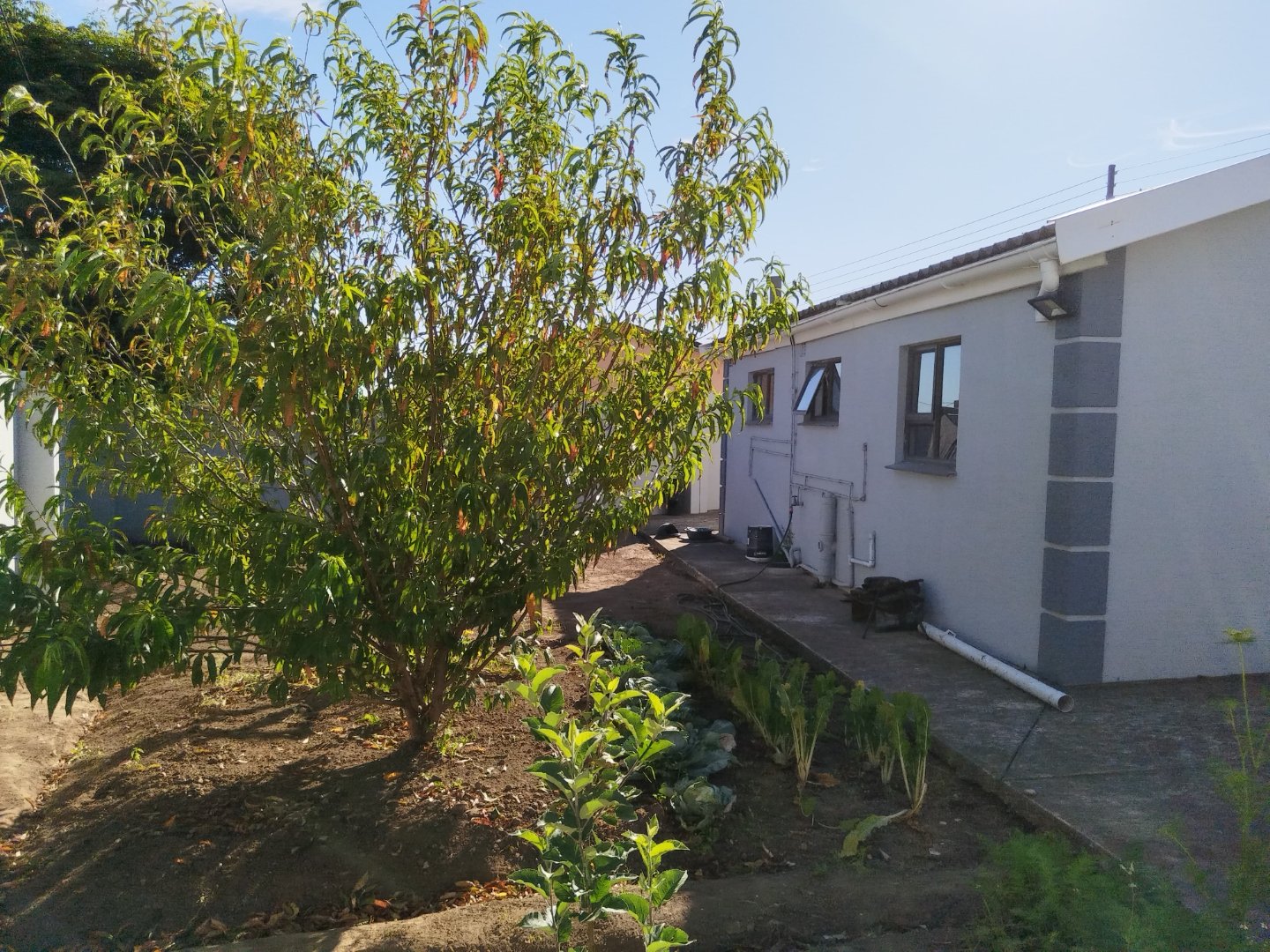 14 Elegant family home for sale in Mdantsane