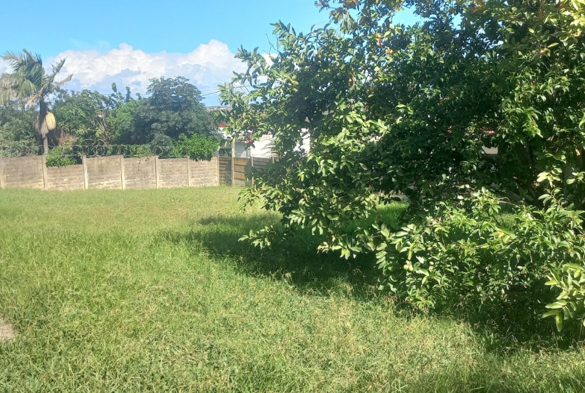 Prime Investment & Family Living on 979m²