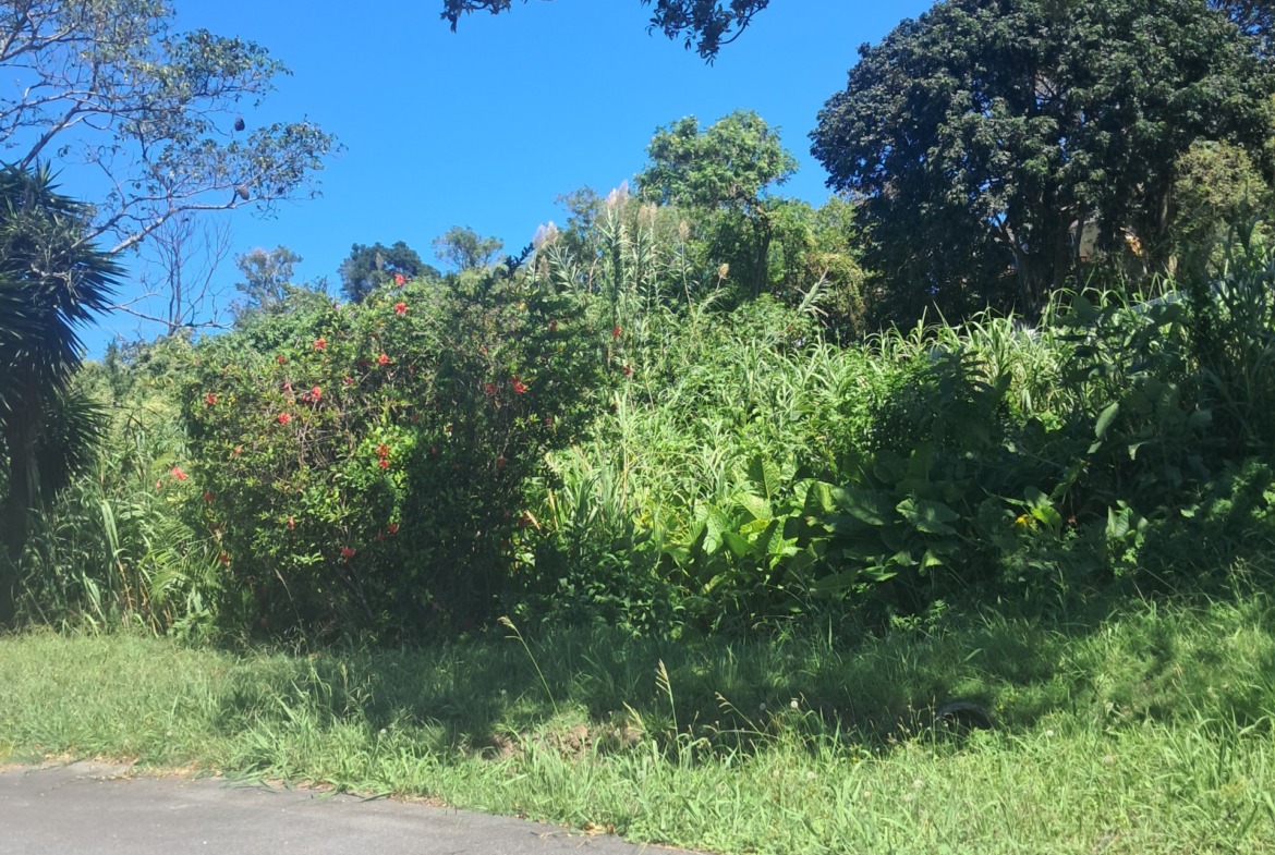 Vacant land for sale in Summerpride
