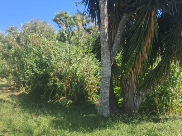 Vacant land for sale in Summerpride