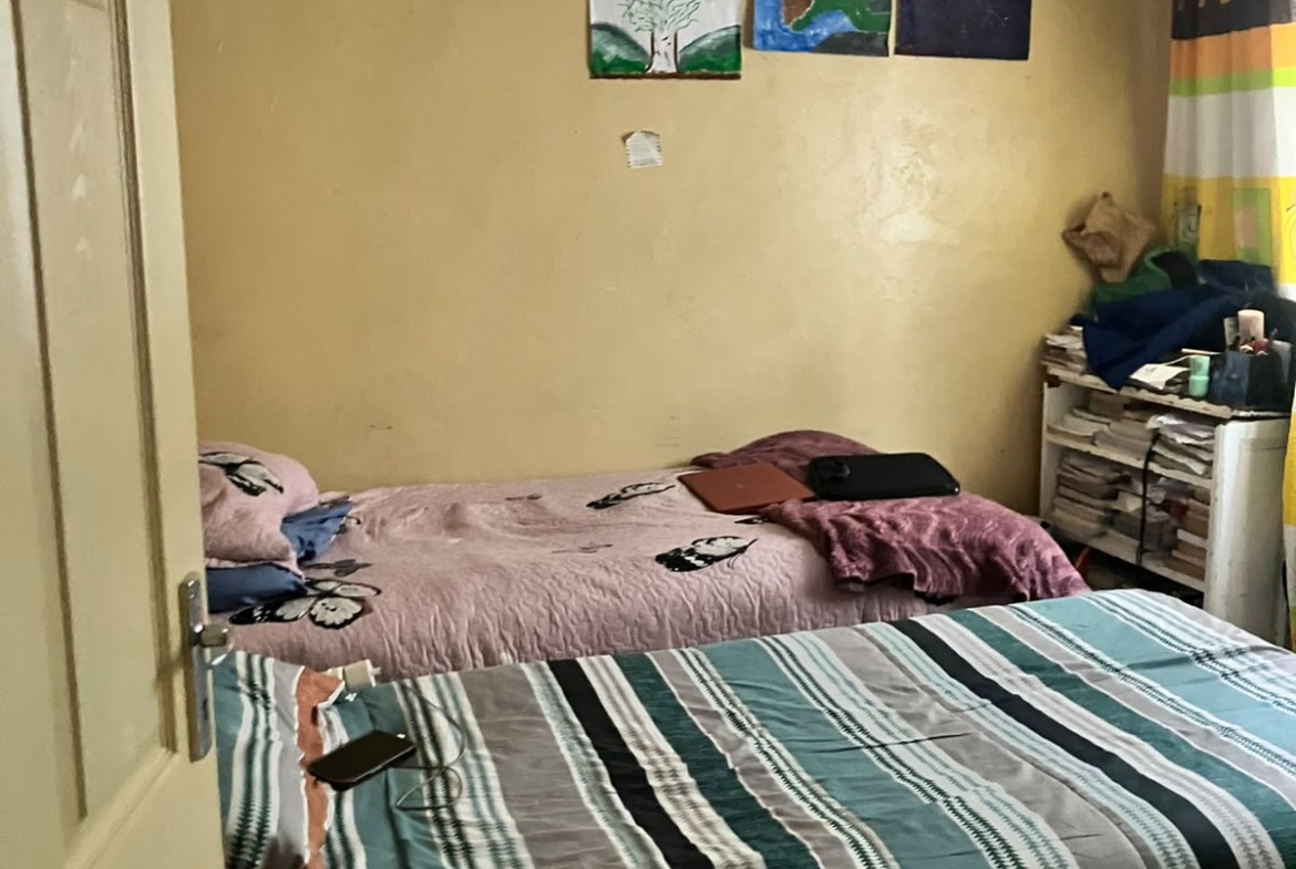 Great Investment Opportunity with Granny Flat in NU2