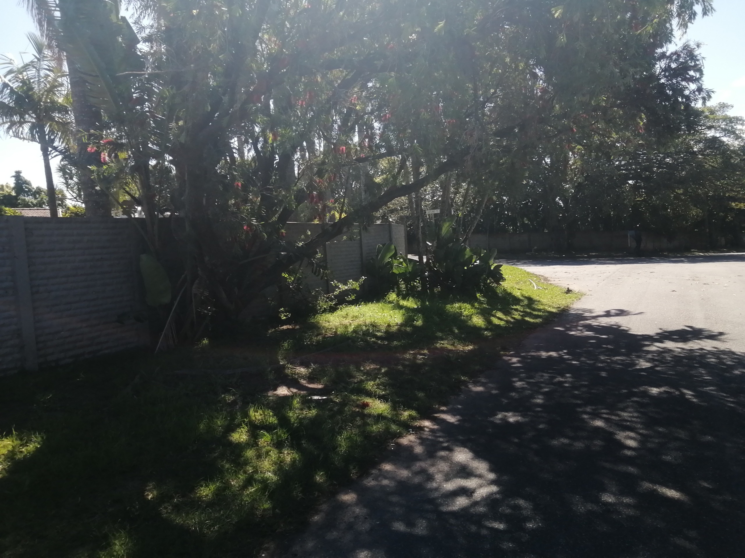 IMG_20260930_135459 Spacious 4-Bedroom Family Home with Pool, Double Garage & Ample Parking