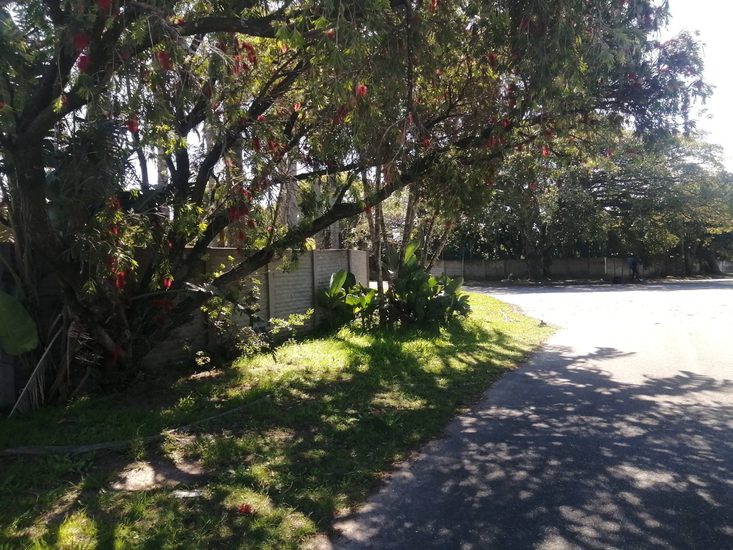 IMG_20260930_135502 Spacious 4-Bedroom Family Home with Pool, Double Garage & Ample Parking